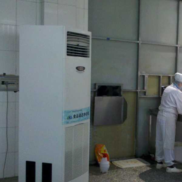 韶关食品正负离子空气杀菌器